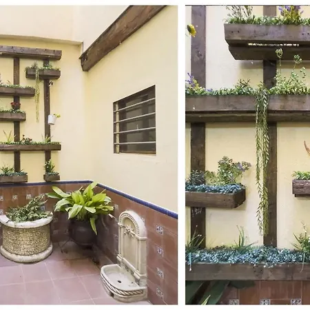 La Casa Purpura - Aloha * Toledo